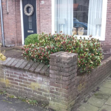 bakstenenmuurtje