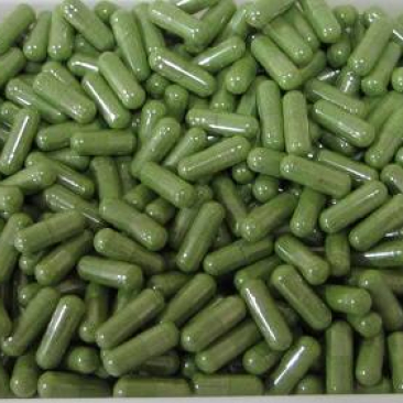 moringa capsules